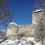 IMG_20241225_122356_resized_20241228_070453358